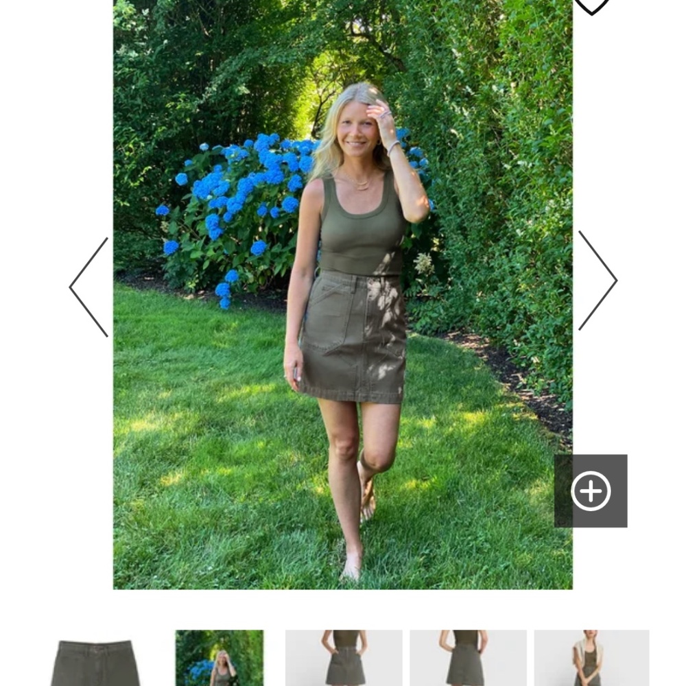 Goop Pearson flared skirt 25 fits like 24